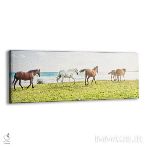 تابلو اسبهای ساحلی II اثر اندرو لِوِر - نمای پرسپکتیو محصول