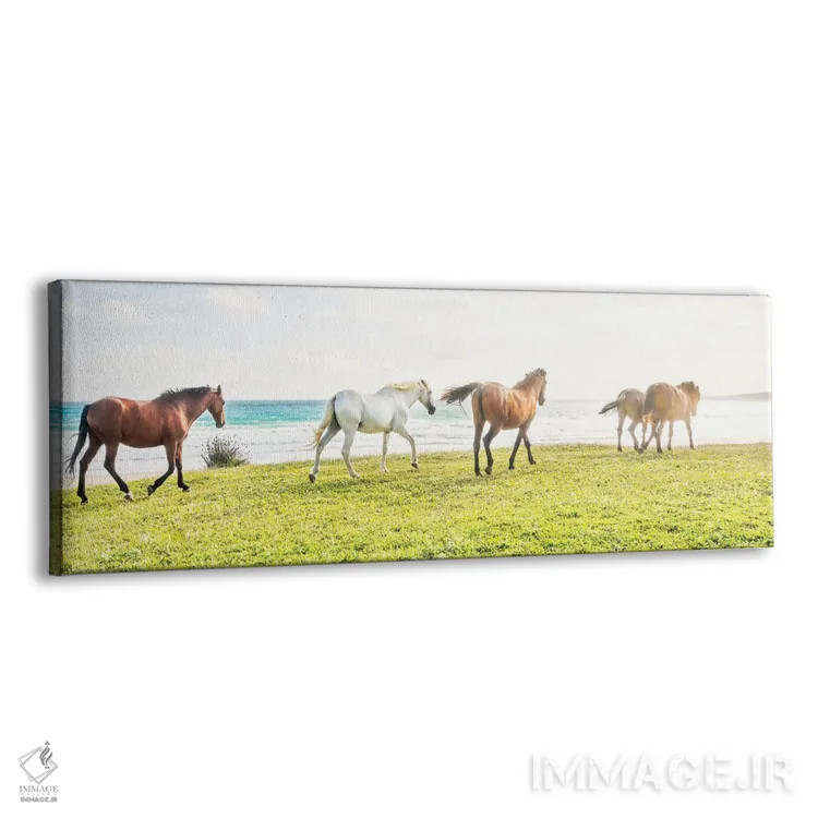 تابلو اسبهای ساحلی II اثر اندرو لِوِر - نمای پرسپکتیو محصول