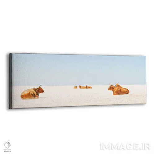 تابلو گاوهای آفتابگیر اثر اندرو لِوِر - نمای پرسپکتیو محصول