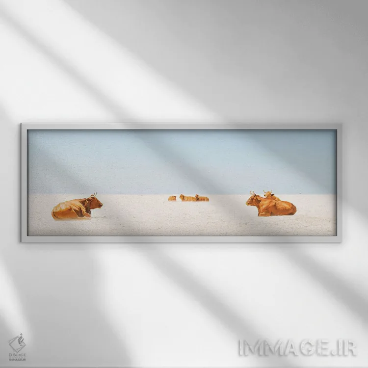 تابلو گاوهای آفتابگیر اثر اندرو لِوِر - نمای قابدار سفید