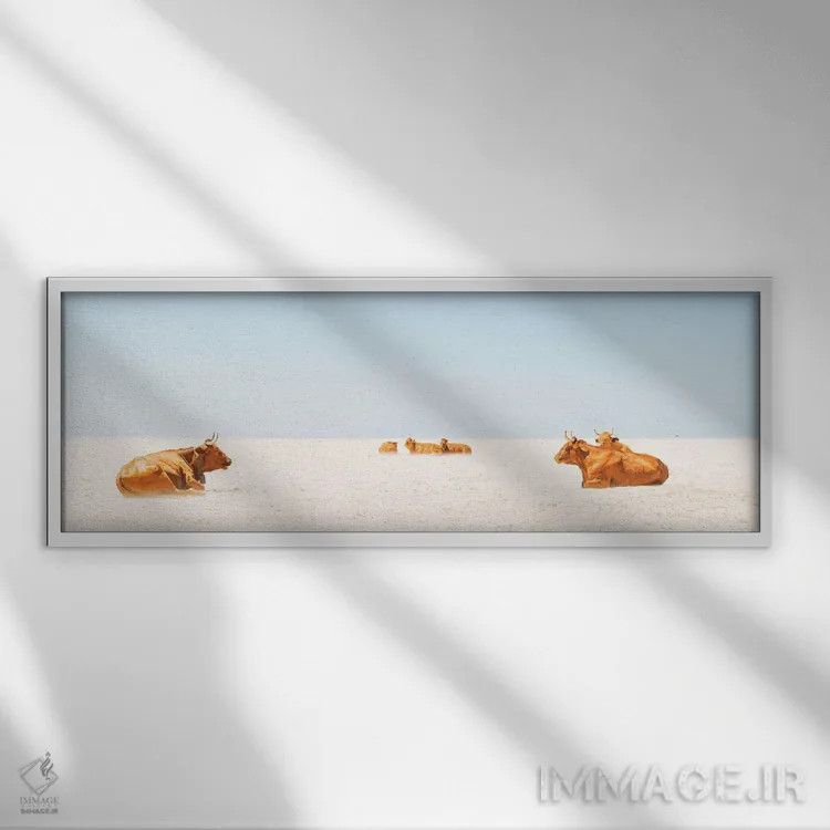 تابلو گاوهای آفتابگیر اثر اندرو لِوِر - نمای قابدار سفید