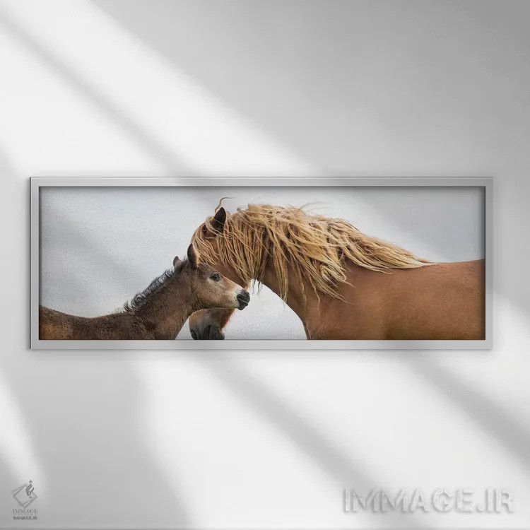 تابلو ایجاد پیوند اثر اندرو لِوِر - نمای قابدار سفید