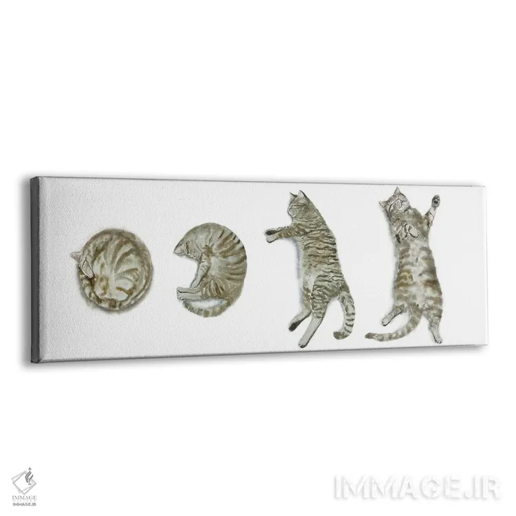 تابلو گربهی خالدار خوابیده اثر آلکسی دیمیتریویچ شمیروف - نمای پرسپکتیو محصول