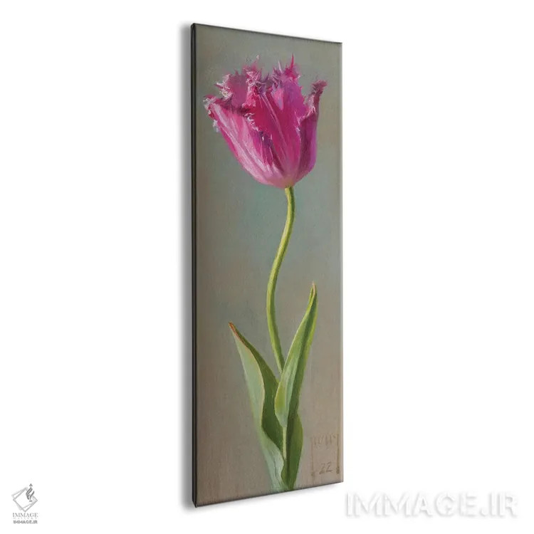 تابلو لاله ریشدار اثر الکس کلی - نمای پرسپکتیو محصول