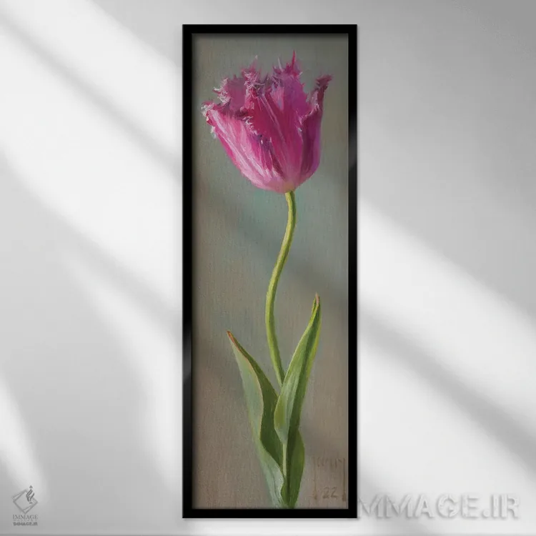 تابلو لاله ریشدار اثر الکس کلی - نمای قابدار مشکی