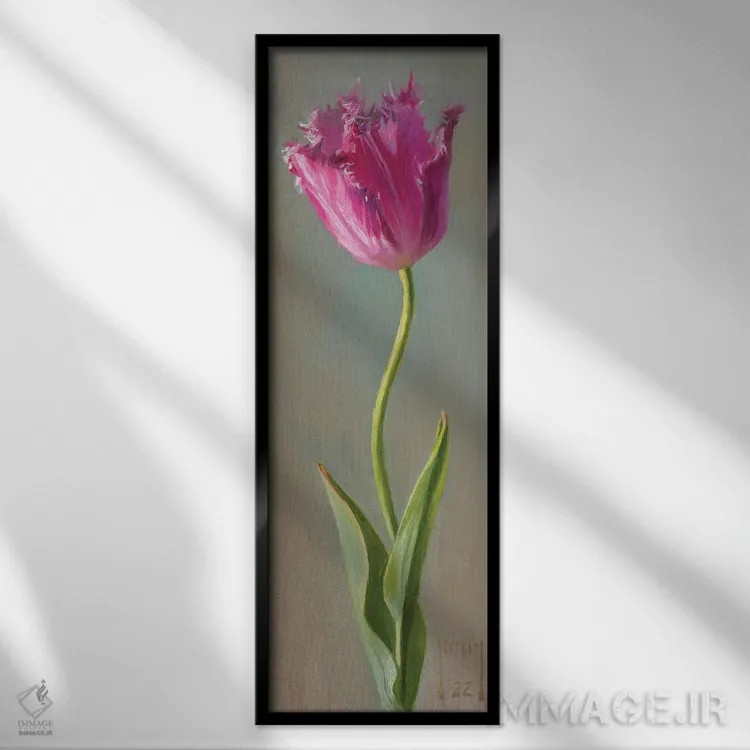 تابلو لاله ریشدار اثر الکس کلی - نمای قابدار مشکی