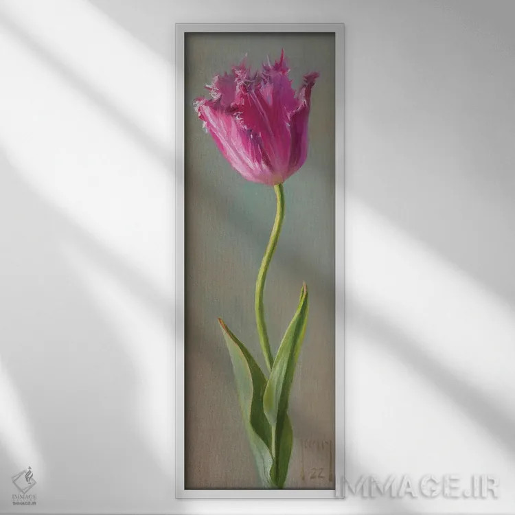 تابلو لاله ریشدار اثر الکس کلی - نمای قابدار سفید