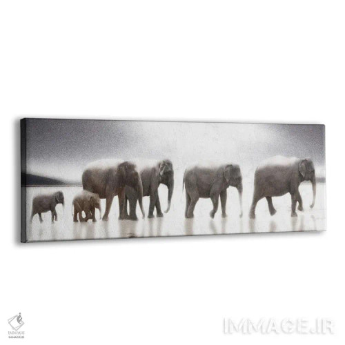 تابلو سراب فیل اثر نوا بی - نمای پرسپکتیو محصول