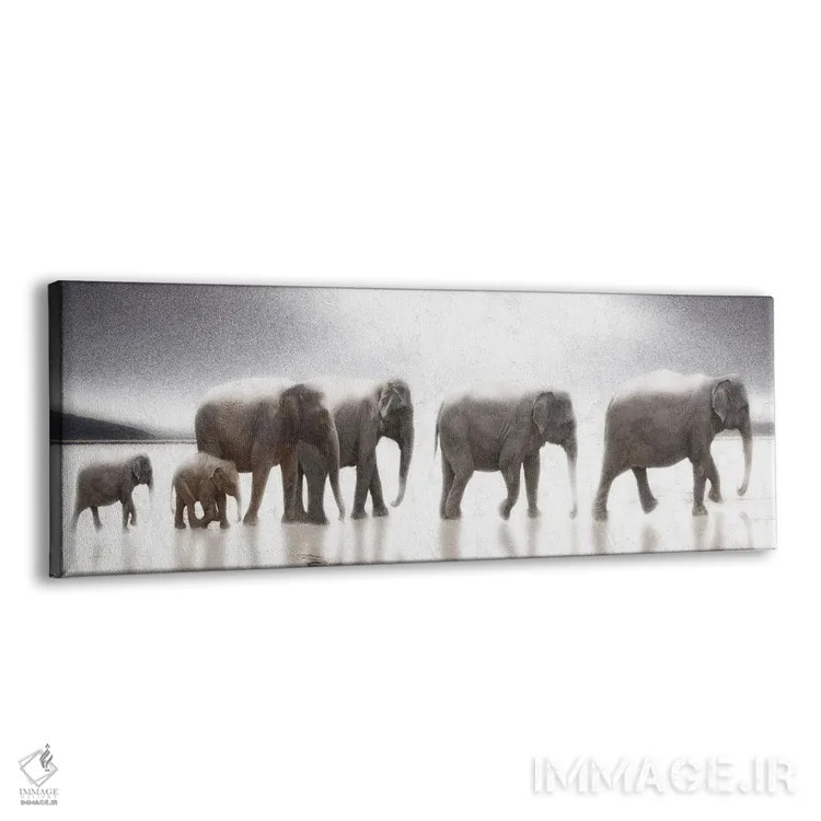 تابلو سراب فیل اثر نوا بی - نمای پرسپکتیو محصول