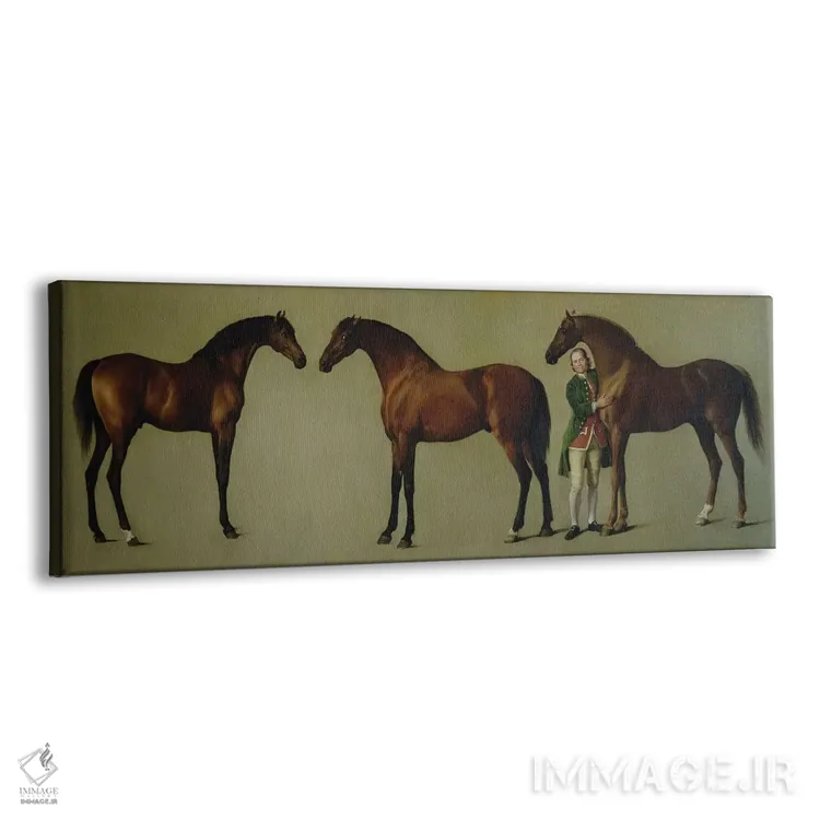 تابلو the Groom, 1762,"ویسلجکت" و دو اسب نر دیگر با سایمون کاب، مهتر اسب، ۱۷۶۲ اثر جورج استابز (نقاش حیوانات انگلیسی) - نمای پرسپکتیو محصول