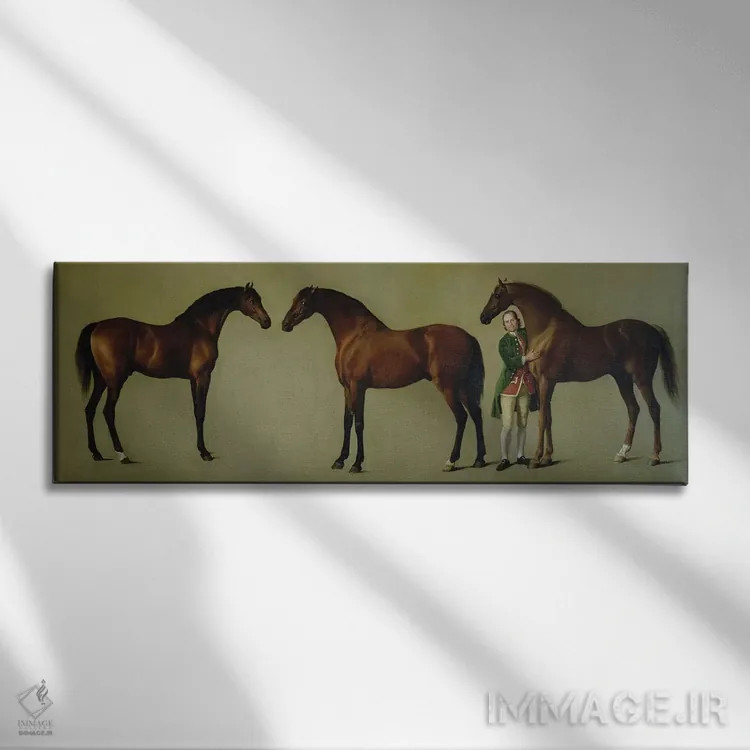 تابلو the Groom, 1762,"ویسلجکت" و دو اسب نر دیگر با سایمون کاب، مهتر اسب، ۱۷۶۲ اثر جورج استابز (نقاش حیوانات انگلیسی) - نمای روبهرو روی دیوار