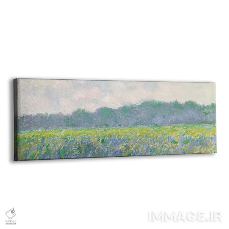 تابلو مزرعه گل زنبق زرد در ژیورنی، ۱۸۸۷ اثر کلود مونه (نقاش معروف فرانسوی) - نمای پرسپکتیو محصول