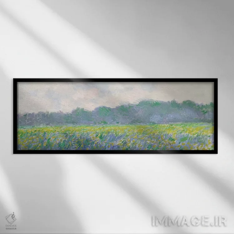 تابلو مزرعه گل زنبق زرد در ژیورنی، ۱۸۸۷ اثر کلود مونه (نقاش معروف فرانسوی) - نمای قابدار مشکی