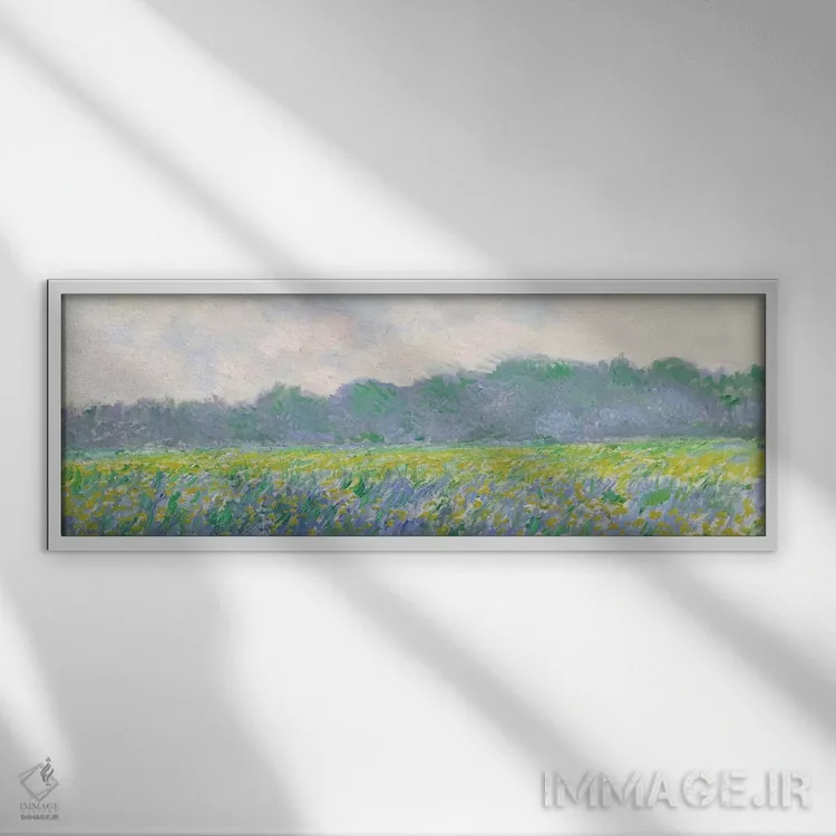 تابلو مزرعه گل زنبق زرد در ژیورنی، ۱۸۸۷ اثر کلود مونه (نقاش معروف فرانسوی) - نمای قابدار سفید
