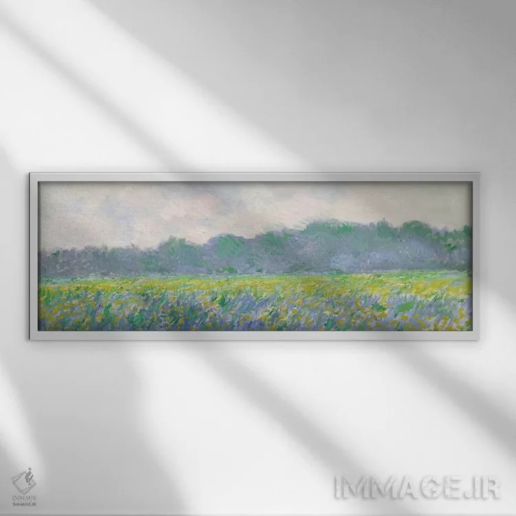 تابلو مزرعه گل زنبق زرد در ژیورنی، ۱۸۸۷ اثر کلود مونه (نقاش معروف فرانسوی) - نمای قابدار سفید