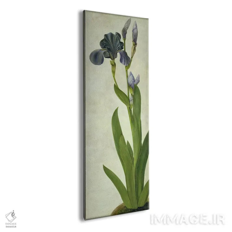 تابلو یک گل زنبق اثر آلبریشت دورر (نقاش آلمانی) - نمای پرسپکتیو محصول