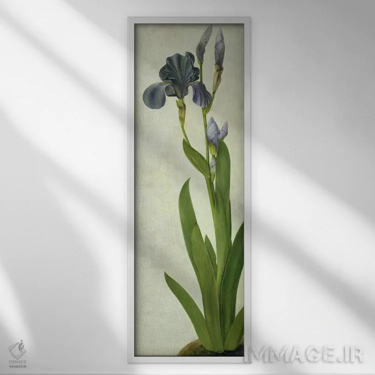 تابلو یک گل زنبق اثر آلبریشت دورر (نقاش آلمانی) - نمای قابدار سفید