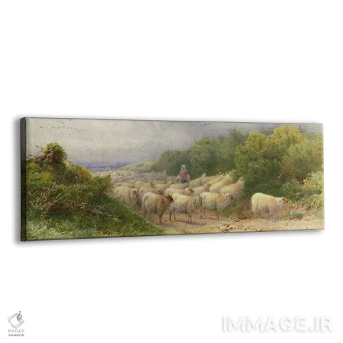 تابلو گوسفندان در دامنهها اثر ویلیام دبلیو. گوسلینگ - نمای پرسپکتیو محصول