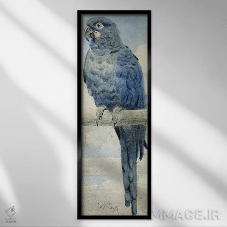 تابلو 1889,ماکائوی سنبلی، ۱۸۸۹ اثر هنری استیسی مارکس - نمای قابدار مشکی