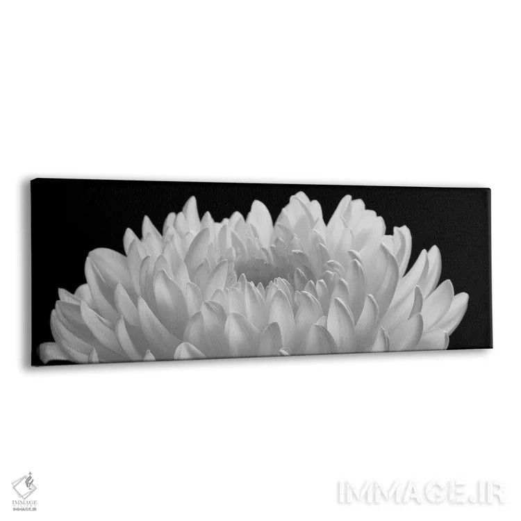 تابلو 2006,یک قدرت معنوی، ۲۰۰۶ اثر هیرویوشی آراکاوا - نمای پرسپکتیو محصول