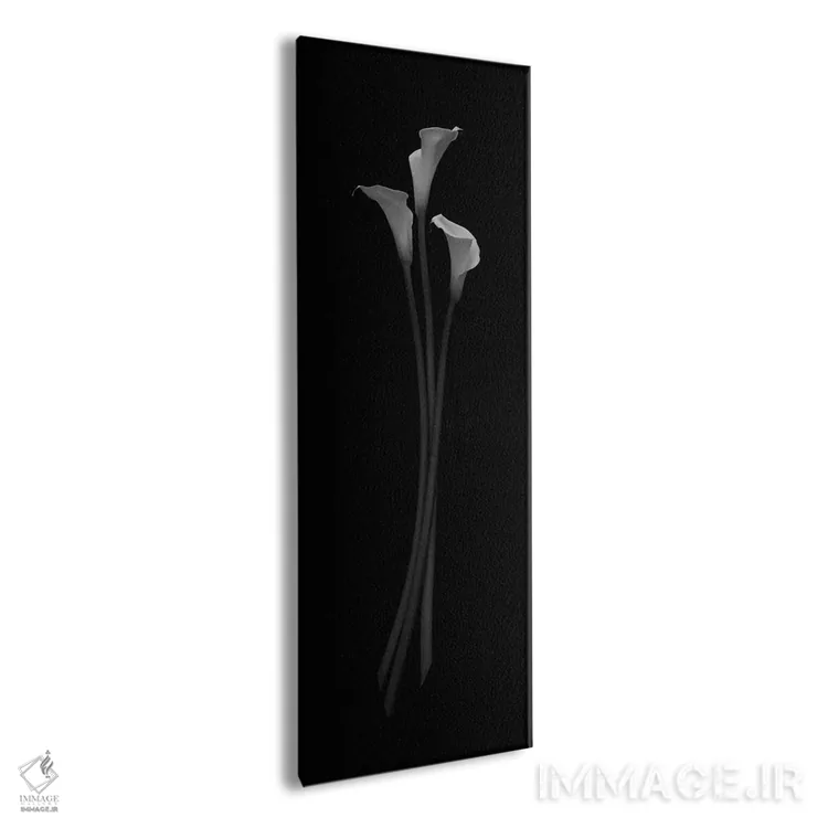 تابلو 2006,زیبایی سهگانه، ۲۰۰۶ اثر هیرویوشی آراکاوا - نمای پرسپکتیو محصول