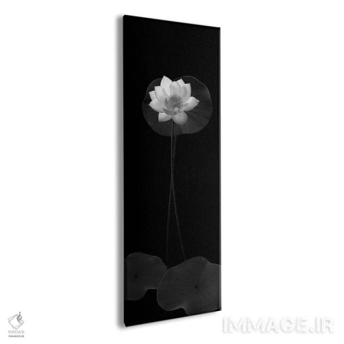 تابلو 2008,بانوی سفید دریاچه، ۲۰۰۸ اثر هیرویوشی آراکاوا - نمای پرسپکتیو محصول