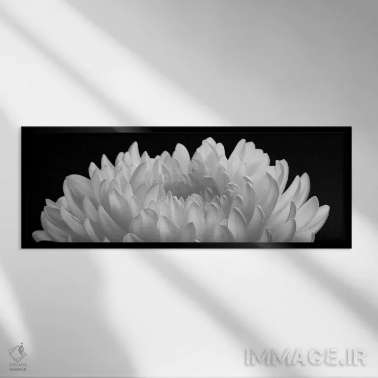 تابلو 2006,یک قدرت معنوی، ۲۰۰۶ اثر هیرویوشی آراکاوا - نمای قابدار مشکی