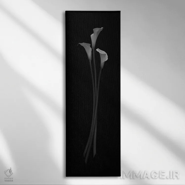 تابلو 2006,زیبایی سهگانه، ۲۰۰۶ اثر هیرویوشی آراکاوا - نمای روبهرو روی دیوار