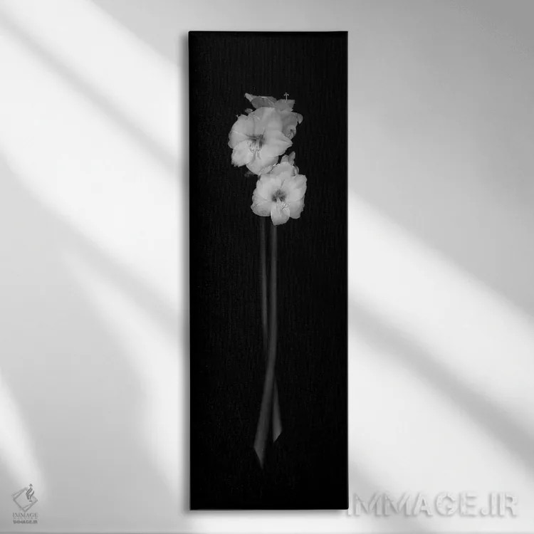 تابلو 2006,دختران ذن، ۲۰۰۶ اثر هیرویوشی آراکاوا - نمای روبهرو روی دیوار