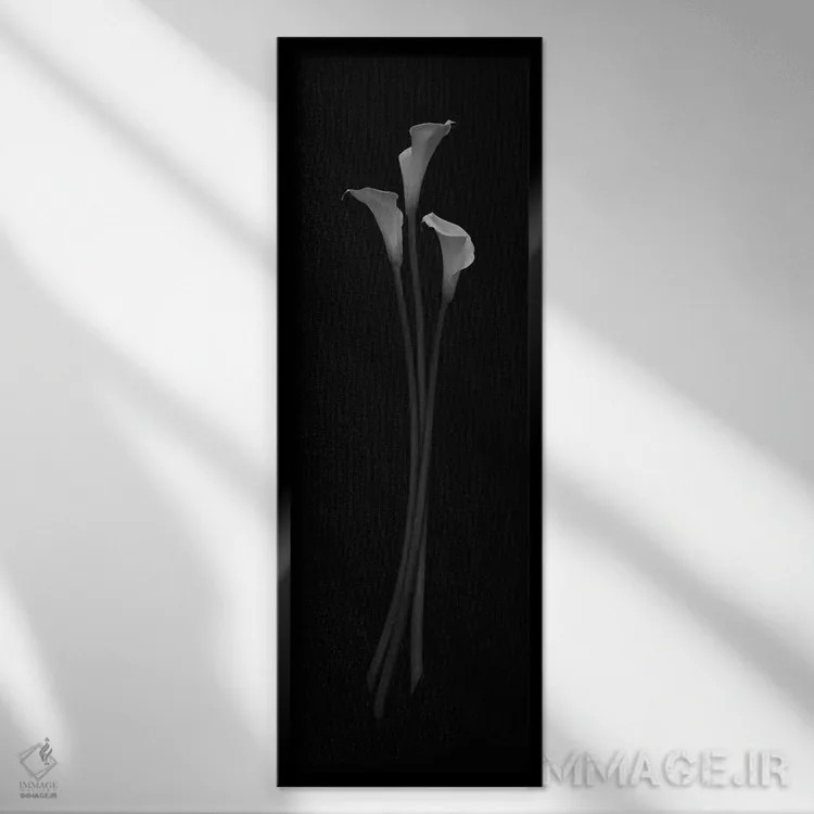 تابلو 2006,زیبایی سهگانه، ۲۰۰۶ اثر هیرویوشی آراکاوا - نمای قابدار مشکی