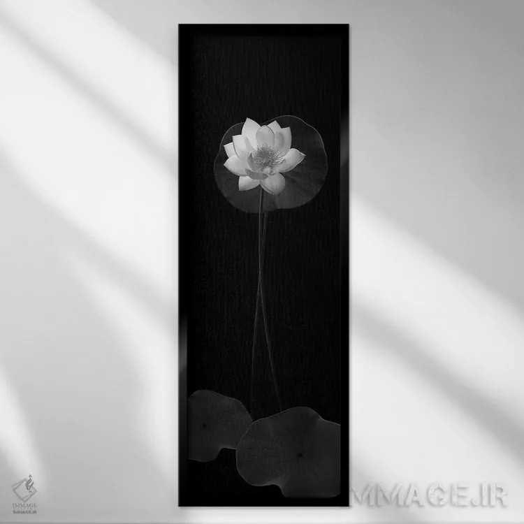 تابلو 2008,بانوی سفید دریاچه، ۲۰۰۸ اثر هیرویوشی آراکاوا - نمای قابدار مشکی