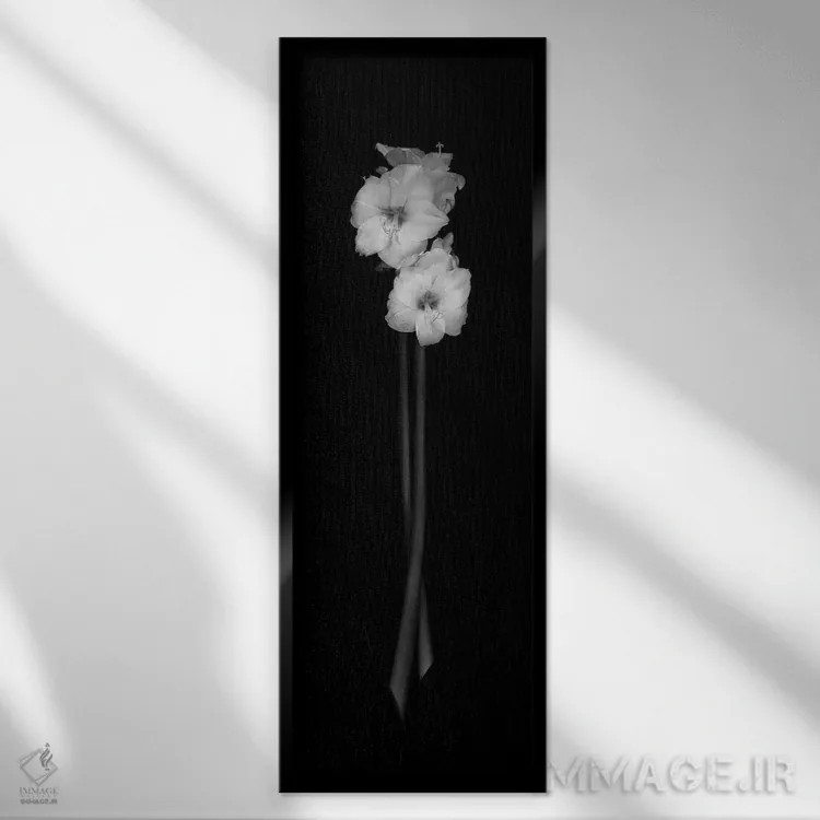 تابلو 2006,دختران ذن، ۲۰۰۶ اثر هیرویوشی آراکاوا - نمای قابدار مشکی