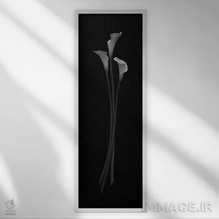 تابلو 2006,زیبایی سهگانه، ۲۰۰۶ اثر هیرویوشی آراکاوا - نمای قابدار سفید