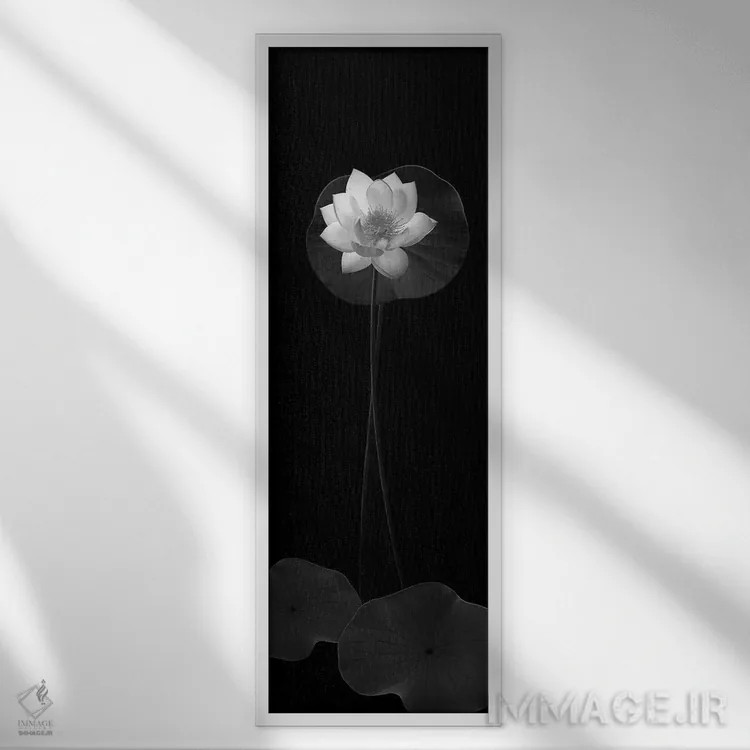 تابلو 2008,بانوی سفید دریاچه، ۲۰۰۸ اثر هیرویوشی آراکاوا - نمای قابدار سفید