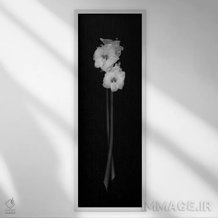 تابلو 2006,دختران ذن، ۲۰۰۶ اثر هیرویوشی آراکاوا - نمای قابدار سفید