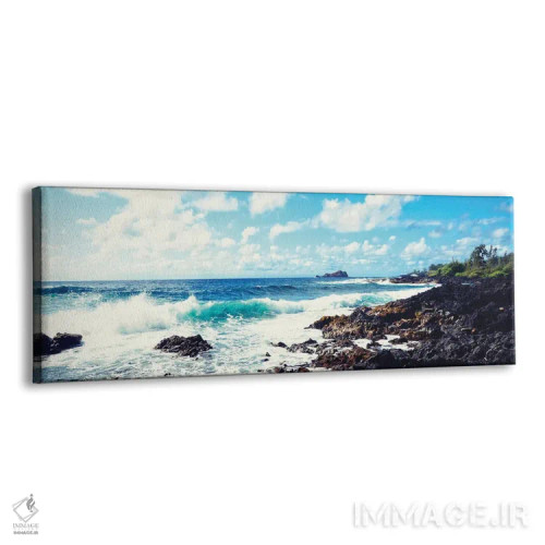 تابلو ساحل خنک III اثر بروس ناوراکه - نمای پرسپکتیو محصول