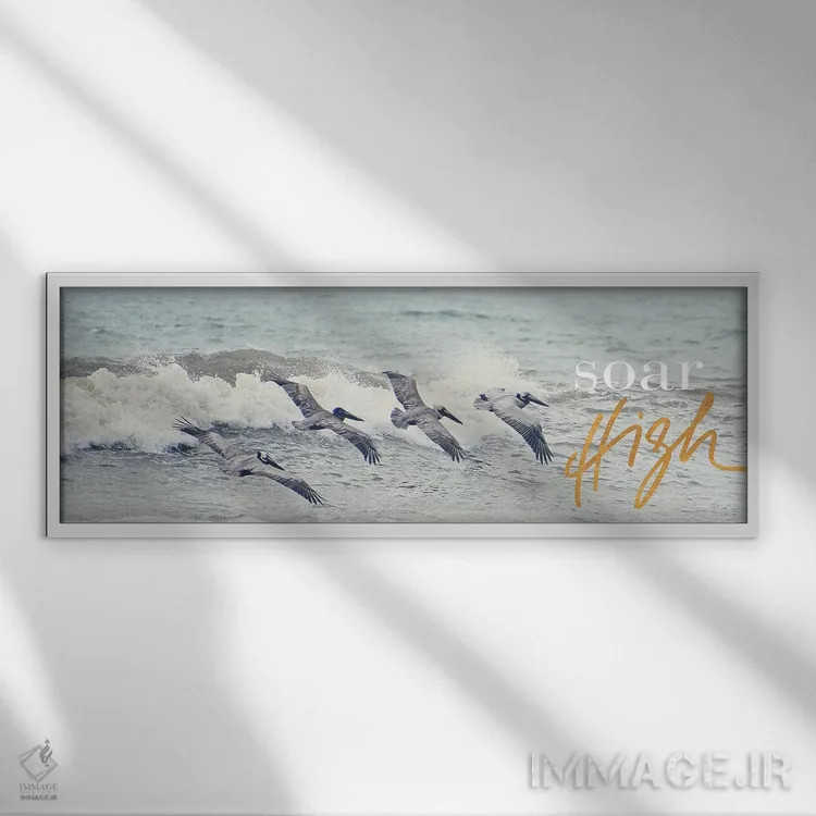 تابلو اوج گرفتن اثر بروس ناوراکه - نمای قابدار سفید