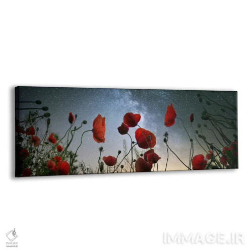 تابلو پادشاهی طلوع ماه دو اثر آدریان بوردَا - نمای پرسپکتیو محصول