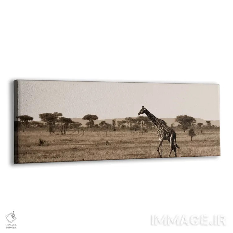 تابلو افقهای سرنگتی ۲ (آفریقا) اثر بویس وات - نمای پرسپکتیو محصول