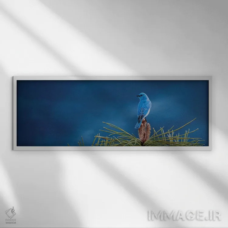 تابلو بر فراز جهان اثر کامی یِل انگل - نمای قابدار سفید