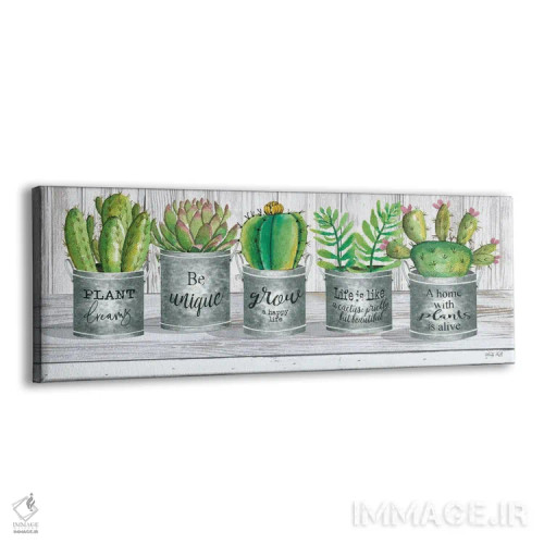 تابلو گلدان گالوانیزه با ساکولنت I اثر سیندی جیکوبز - نمای پرسپکتیو محصول