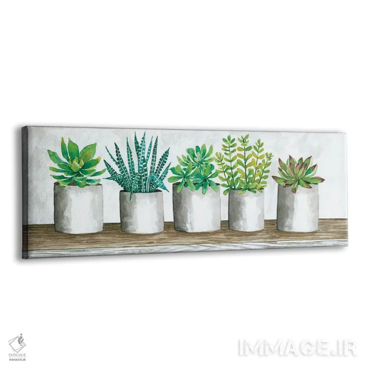 تابلو گلدانهای ساکولنت اثر سیندی جیکوبز - نمای پرسپکتیو محصول