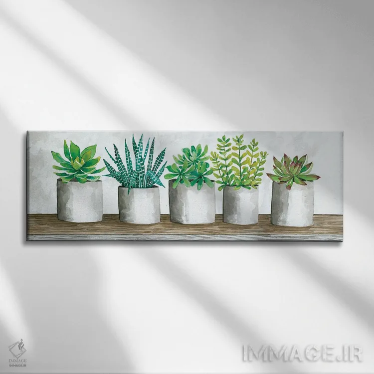 تابلو گلدانهای ساکولنت اثر سیندی جیکوبز - نمای روبهرو روی دیوار