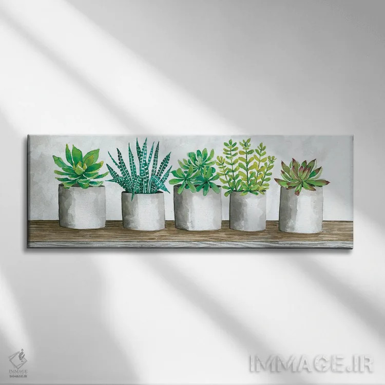 تابلو گلدانهای ساکولنت اثر سیندی جیکوبز - نمای روبهرو روی دیوار