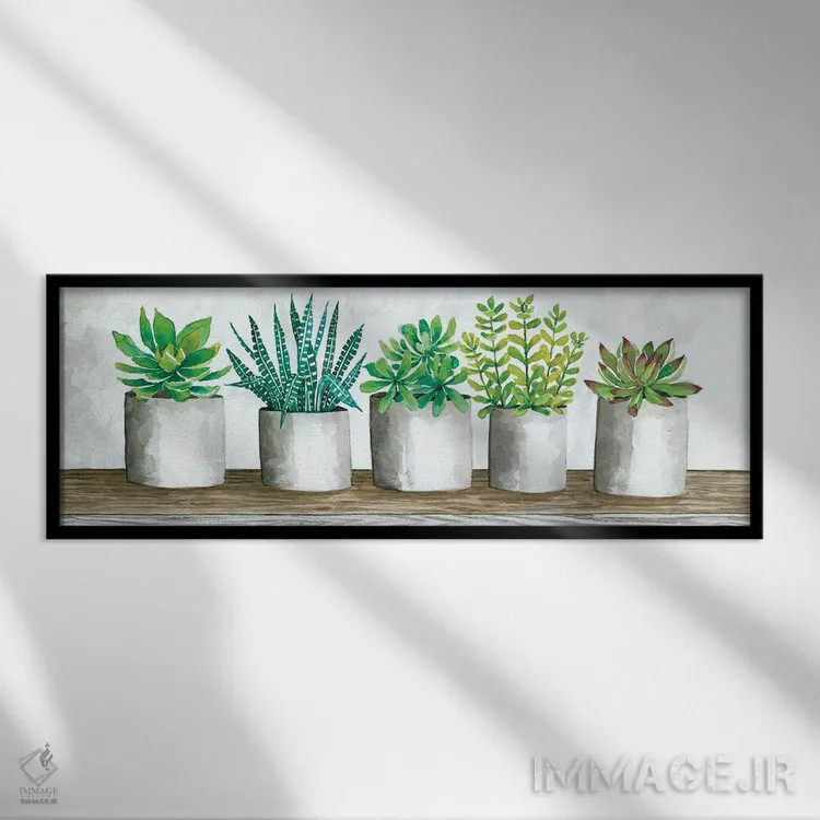 تابلو گلدانهای ساکولنت اثر سیندی جیکوبز - نمای قابدار مشکی