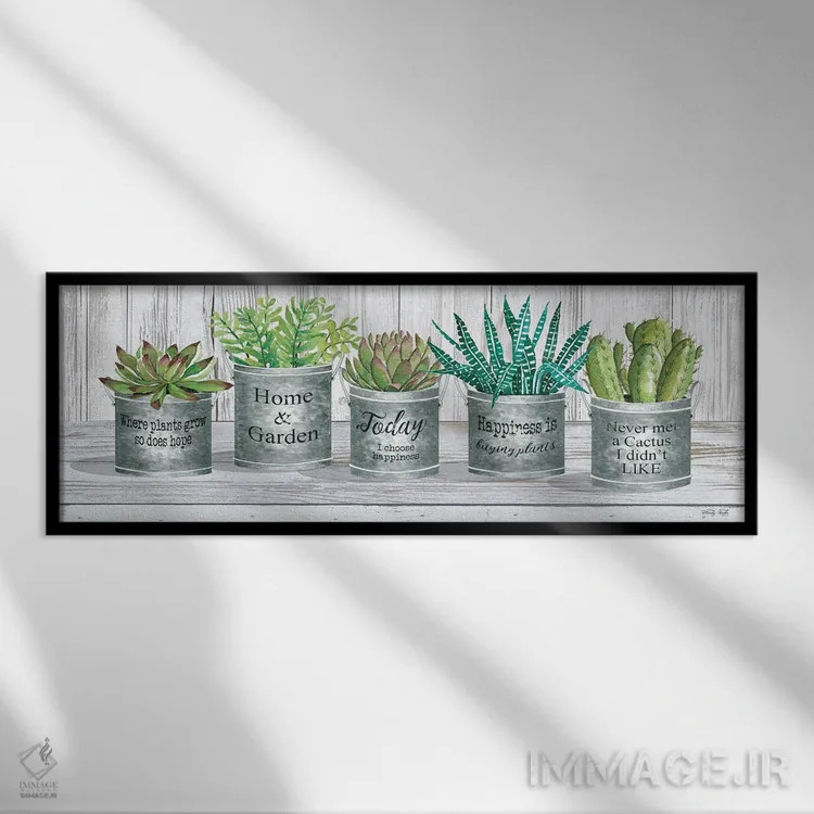 تابلو گلدان گالوانیزه با ساکولنت II اثر سیندی جیکوبز - نمای قابدار مشکی