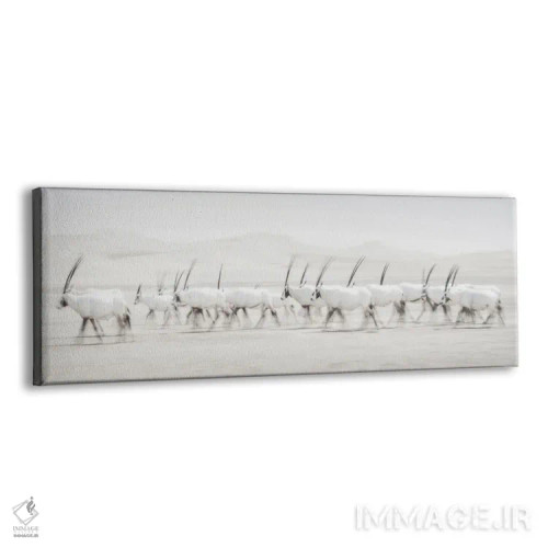 تابلو حرکت اثر دن نیوتن - نمای پرسپکتیو محصول