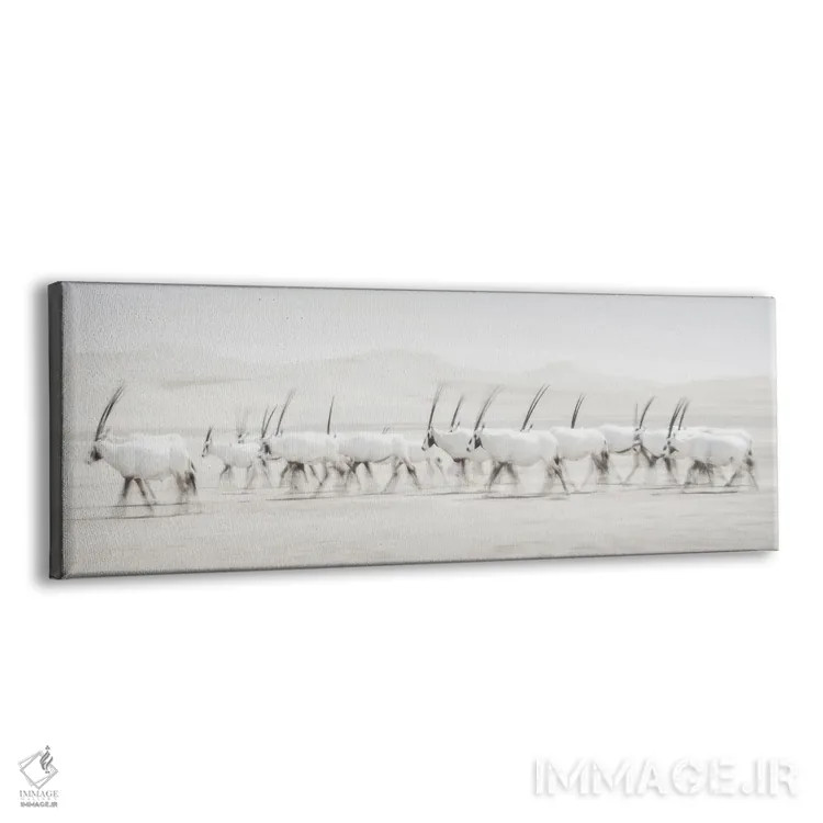 تابلو حرکت اثر دن نیوتن - نمای پرسپکتیو محصول