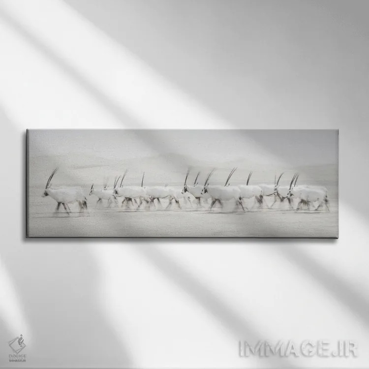 تابلو حرکت اثر دن نیوتن - نمای روبهرو روی دیوار