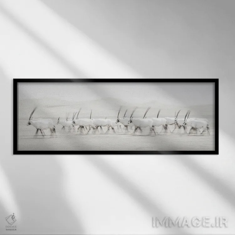 تابلو حرکت اثر دن نیوتن - نمای قابدار مشکی